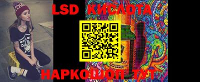 spice Свободный