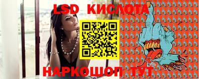 spice Свободный