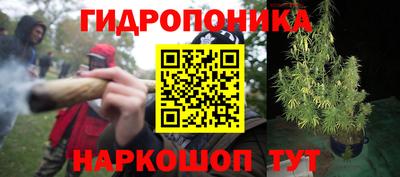 каннабис Северобайкальск
