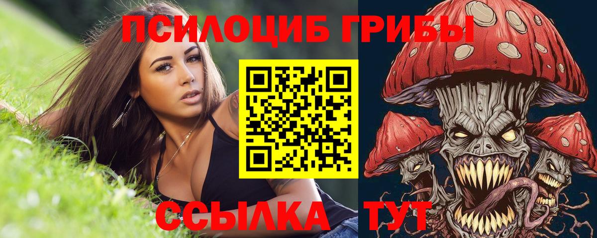 Новокубанск  Псилоцибиновые грибы MAGIC MUSHROOMS  Вход с VPN 