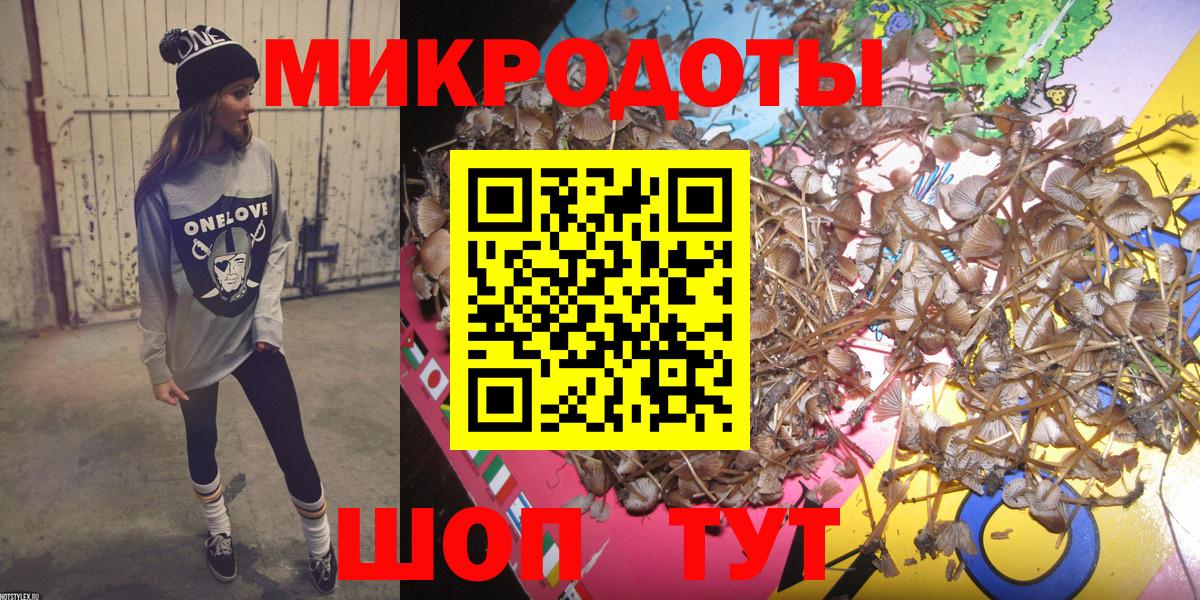 Галлюциногенные грибы прущие грибы Новокубанск